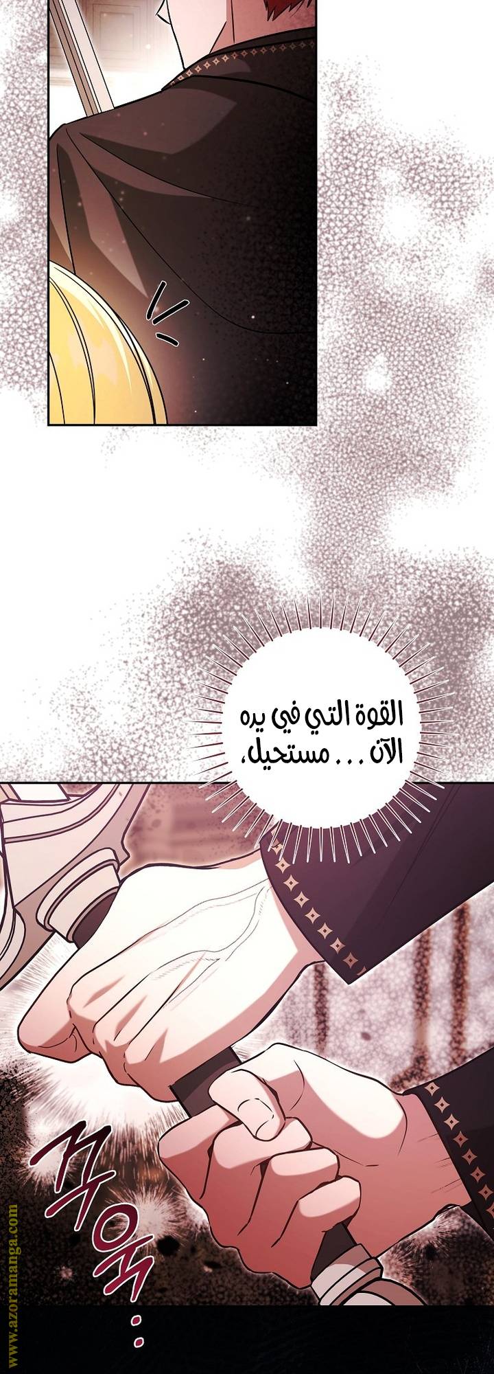 الصفحة 29