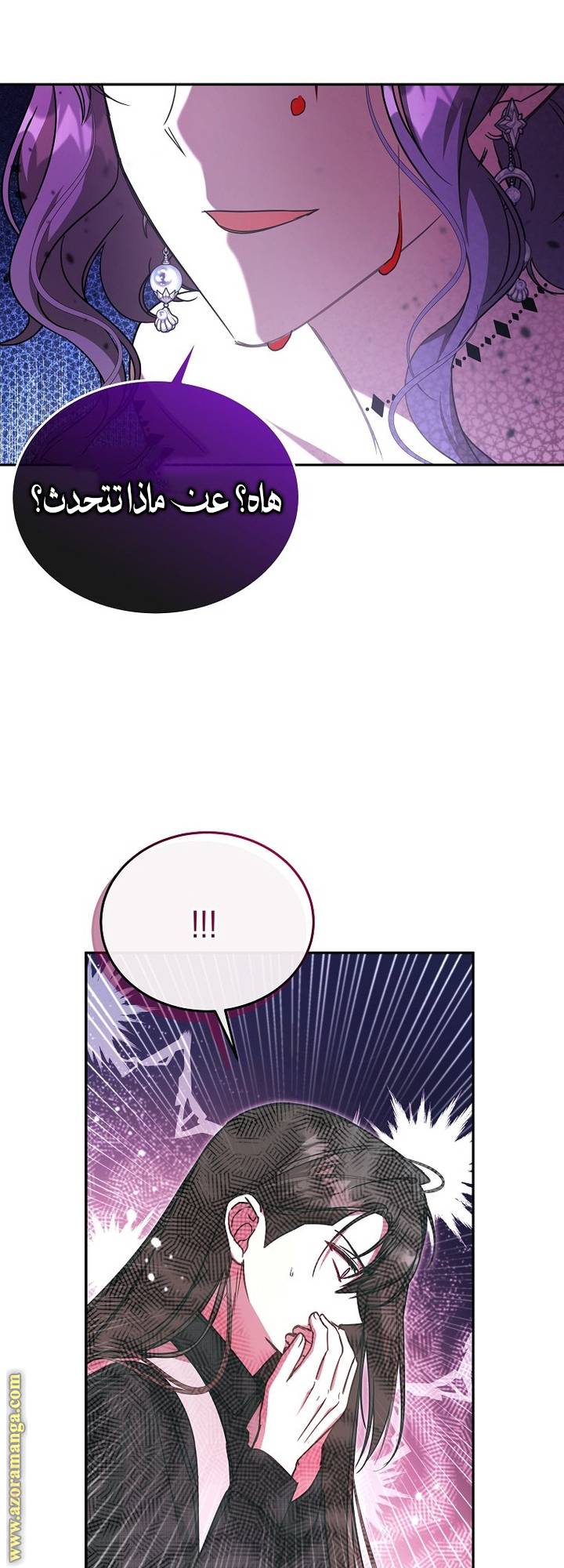 الصفحة 43