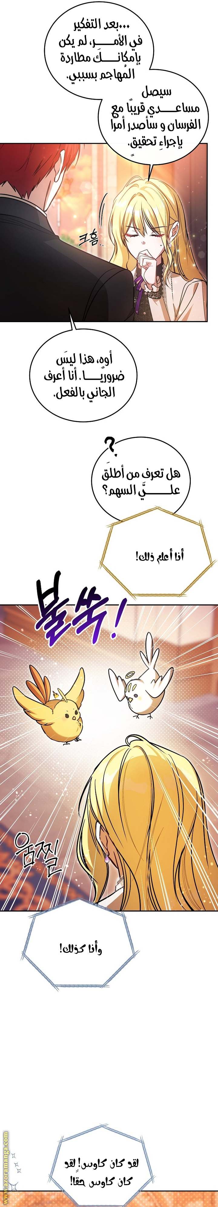 الصفحة 13