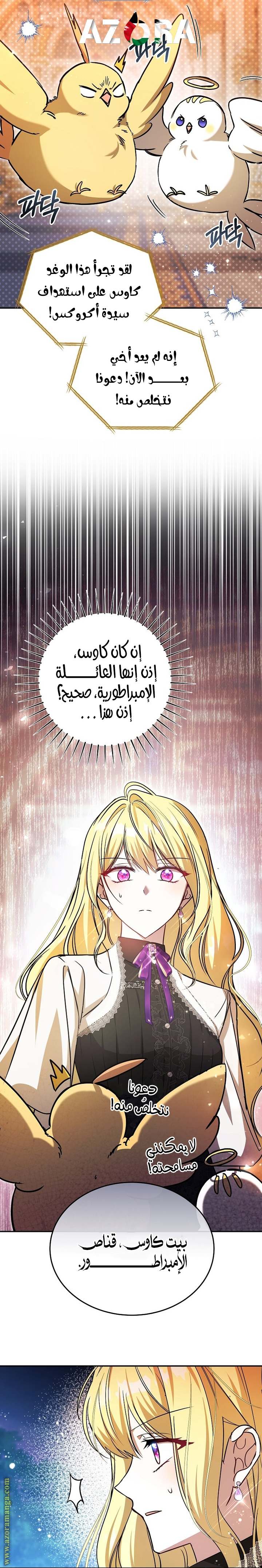 الصفحة 14