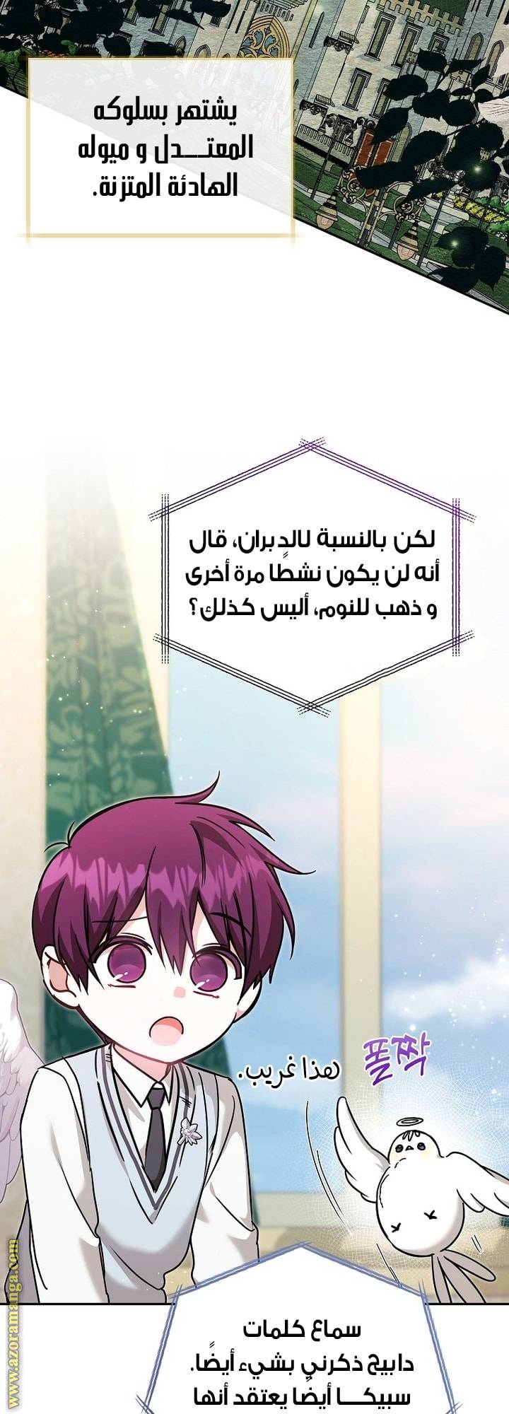 الصفحة 20