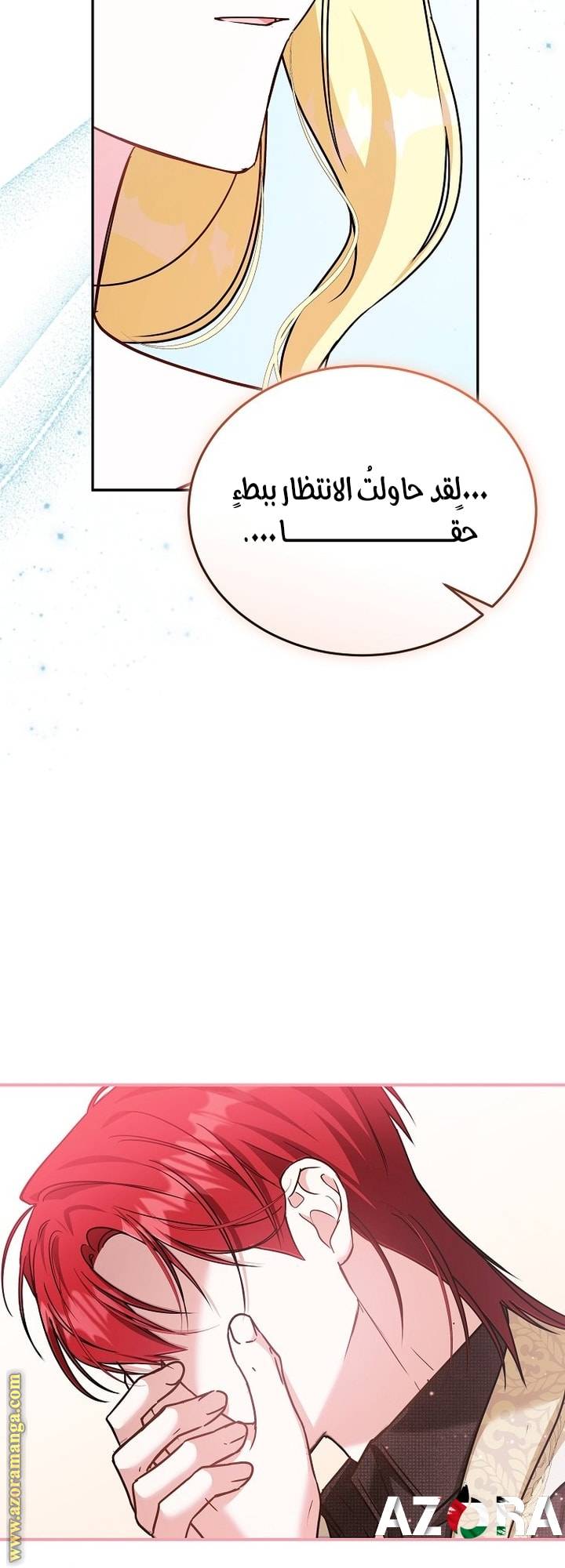 الصفحة 46