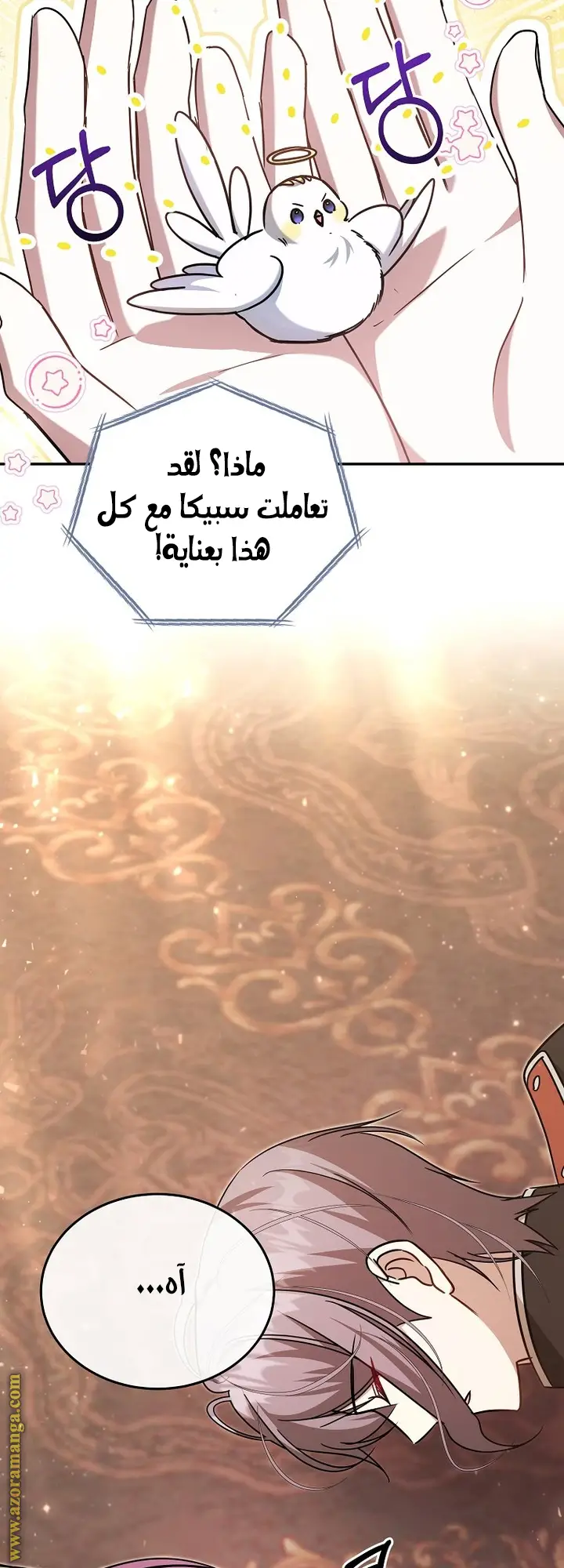 الصفحة 47