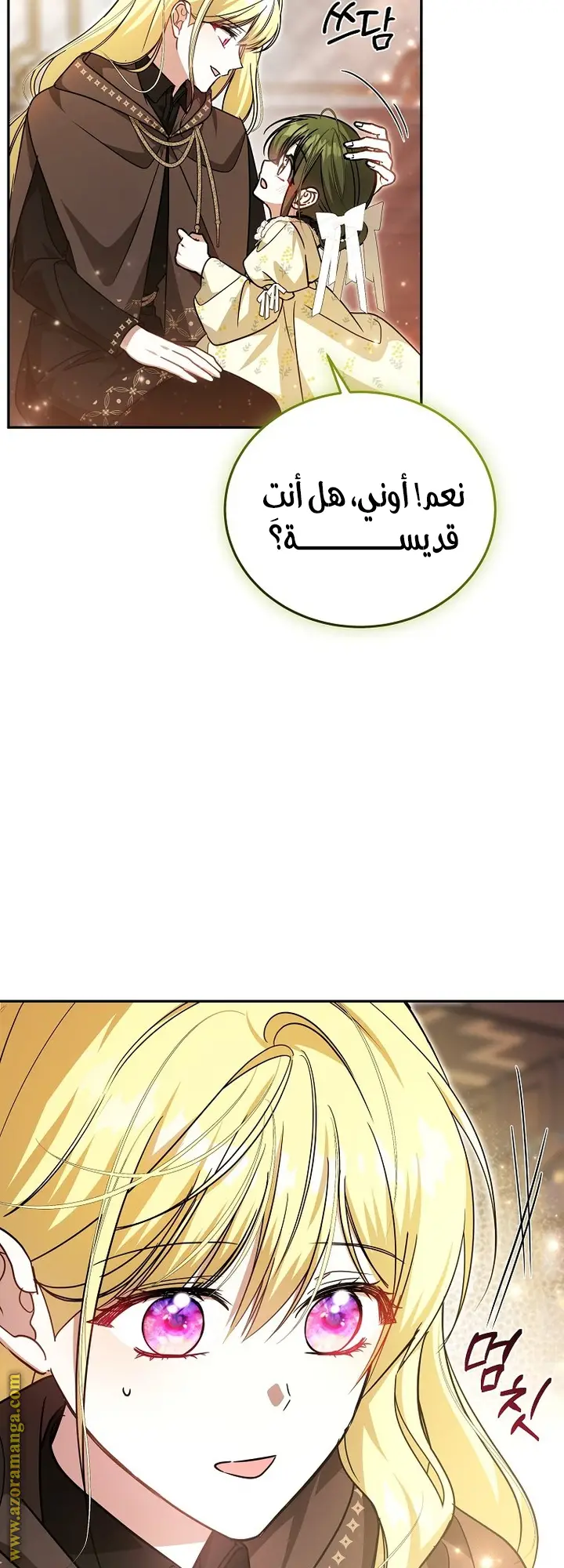 الصفحة 52
