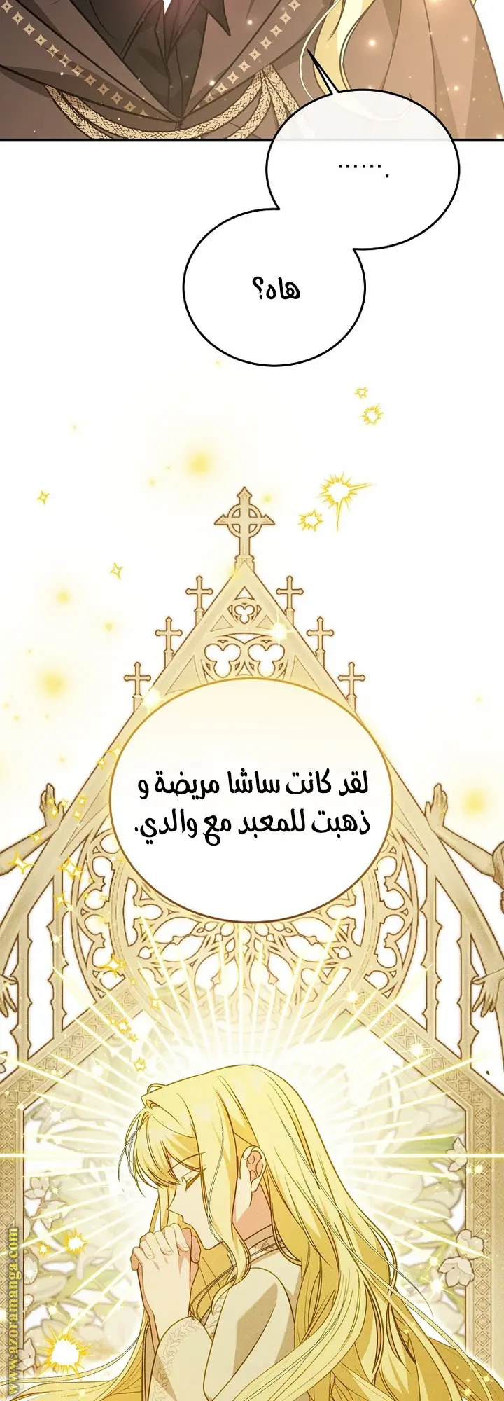 الصفحة 53