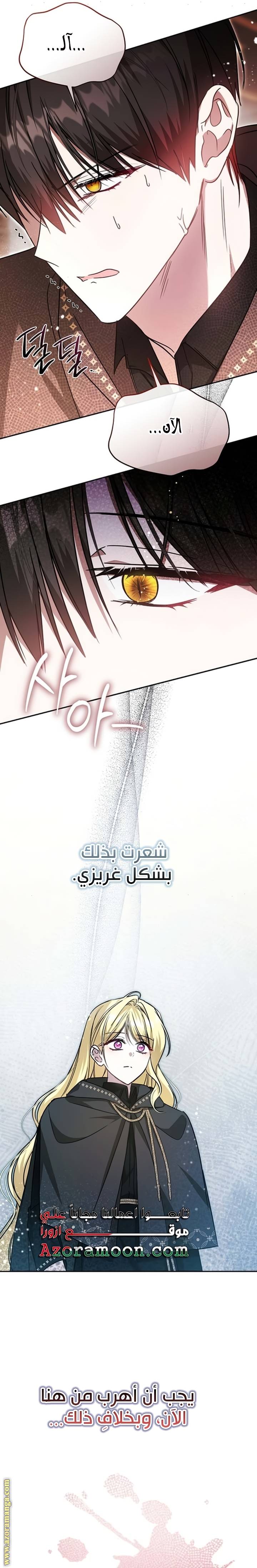 الصفحة 19