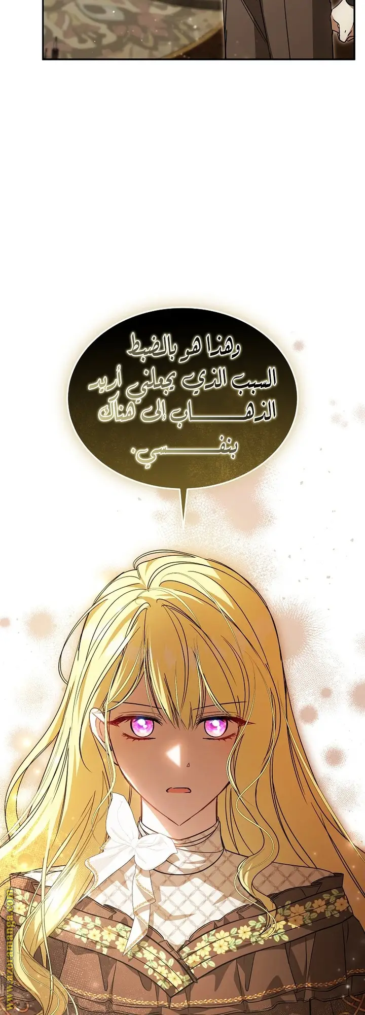 الصفحة 19