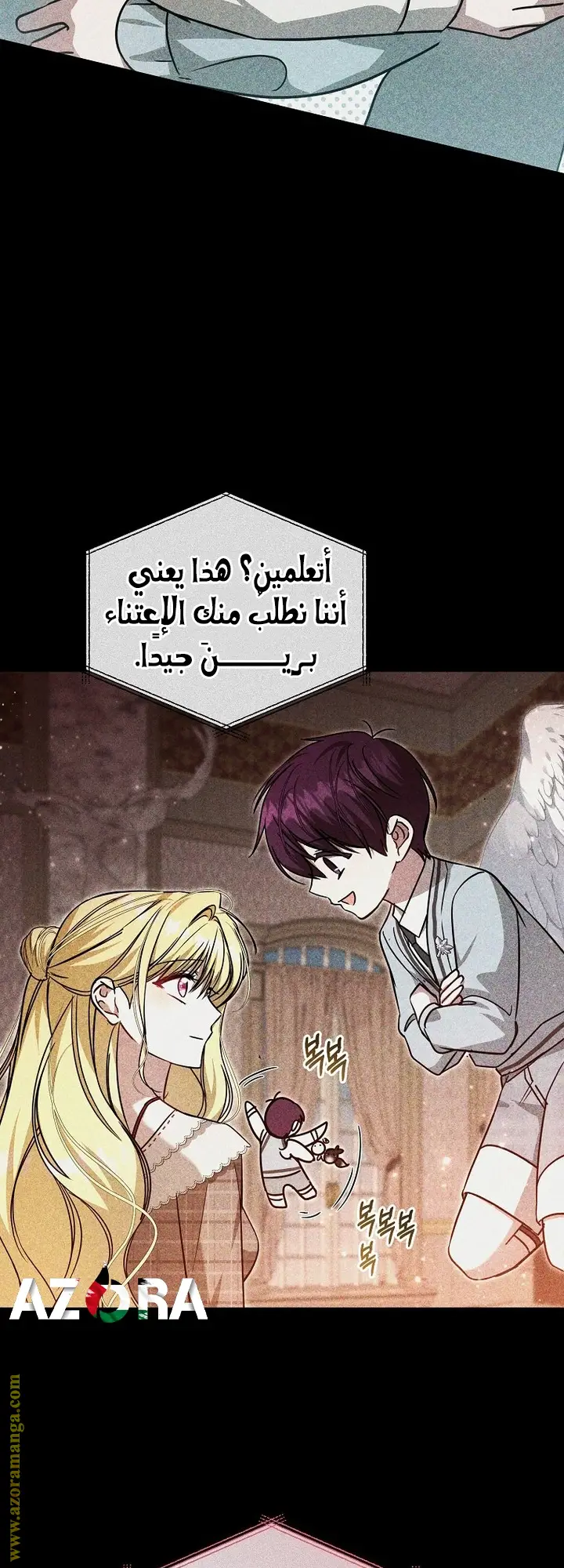 الصفحة 27