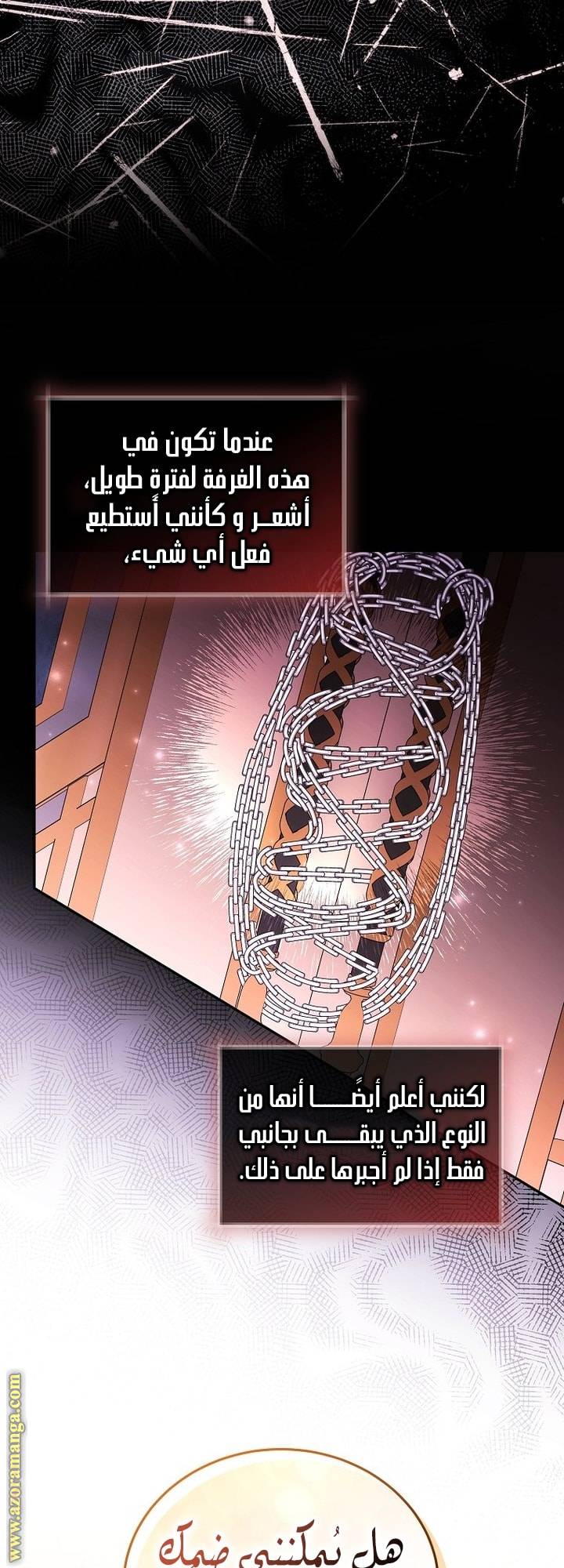 الصفحة 17