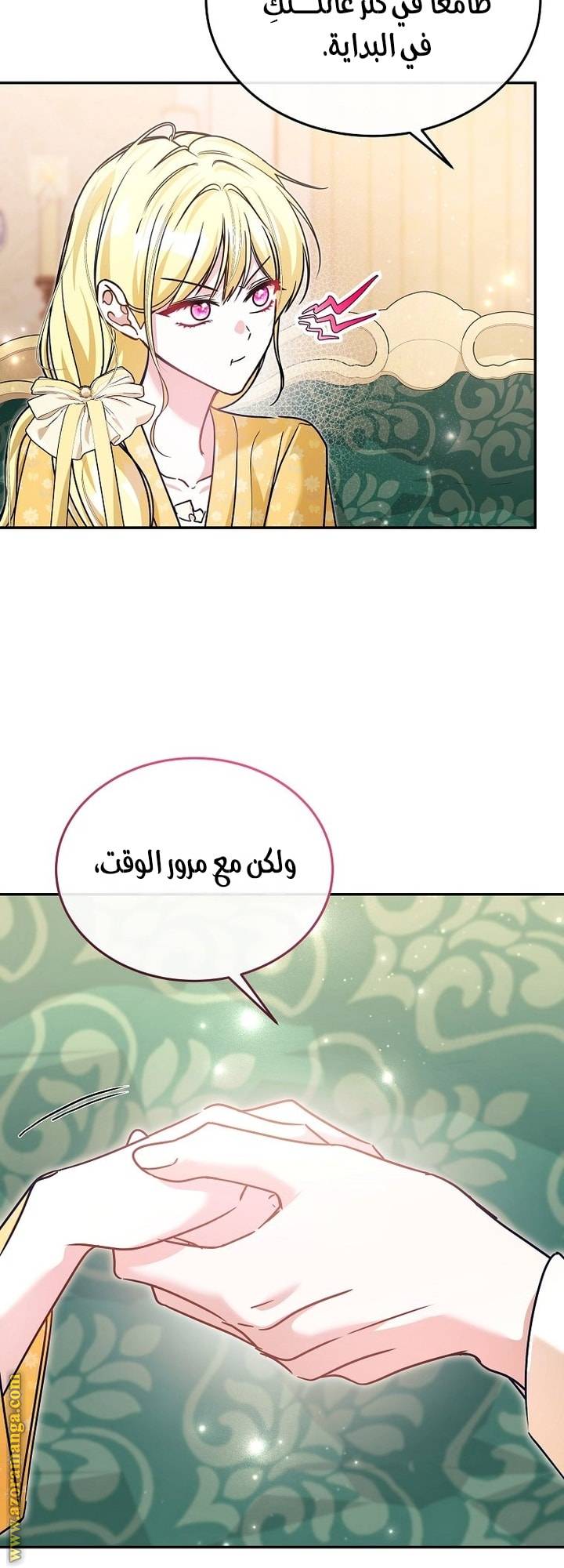 الصفحة 30