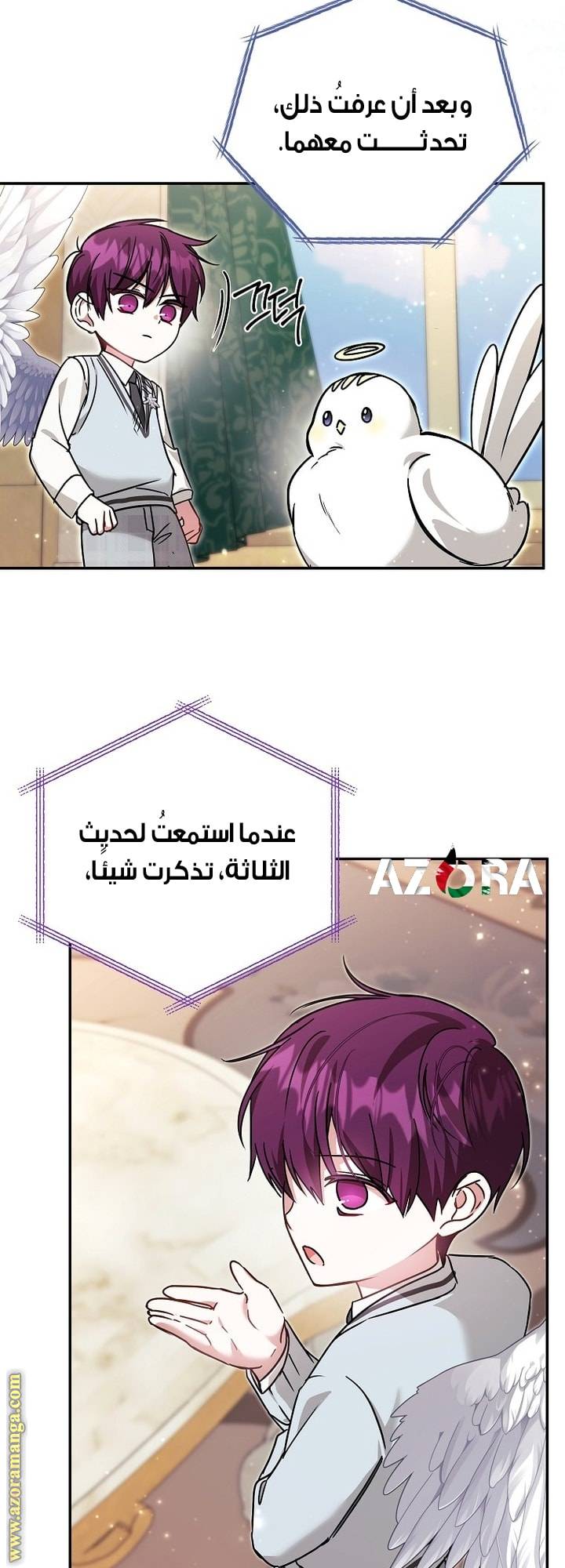 الصفحة 52