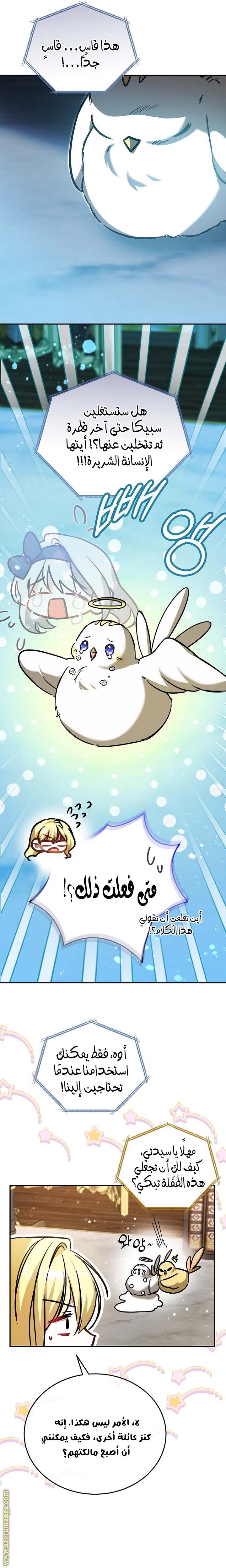 الصفحة 17