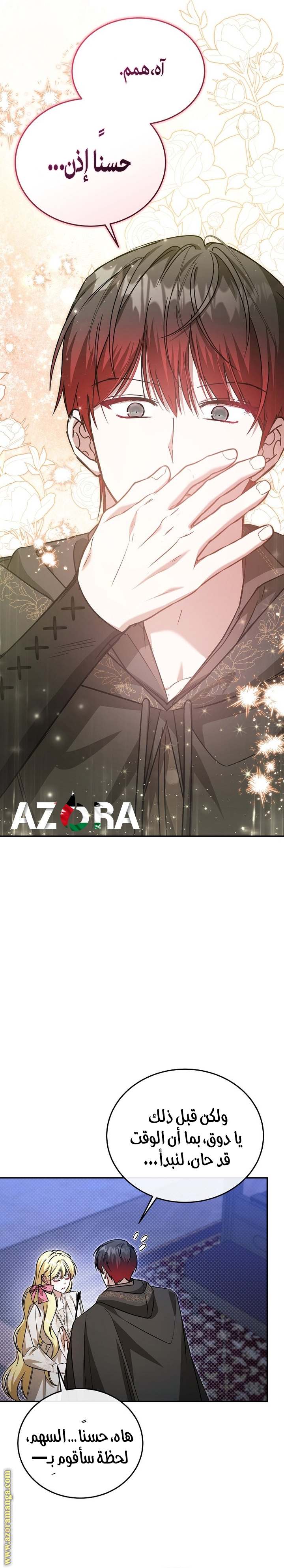 الصفحة 13