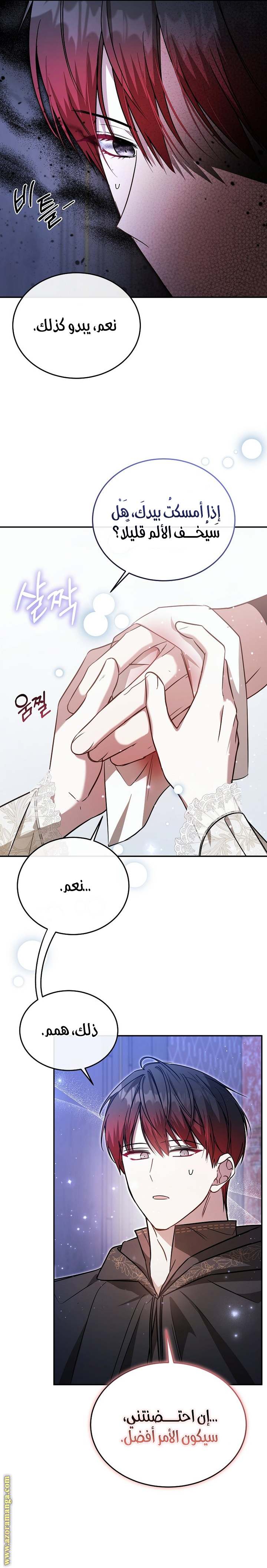 الصفحة 17