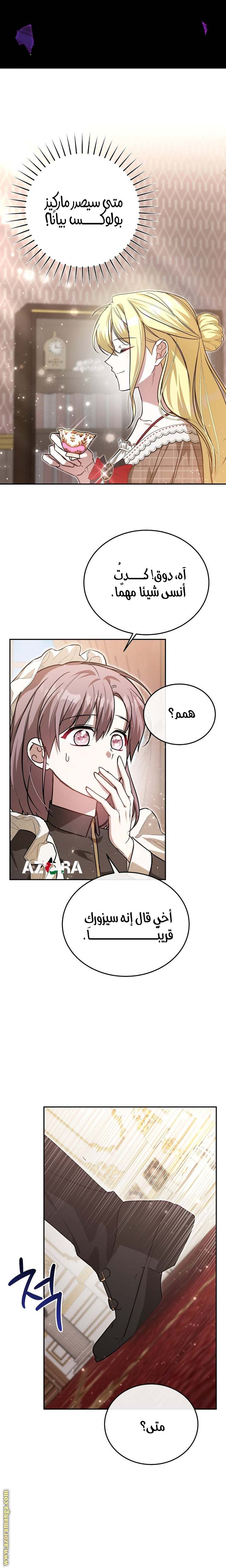 الصفحة 29