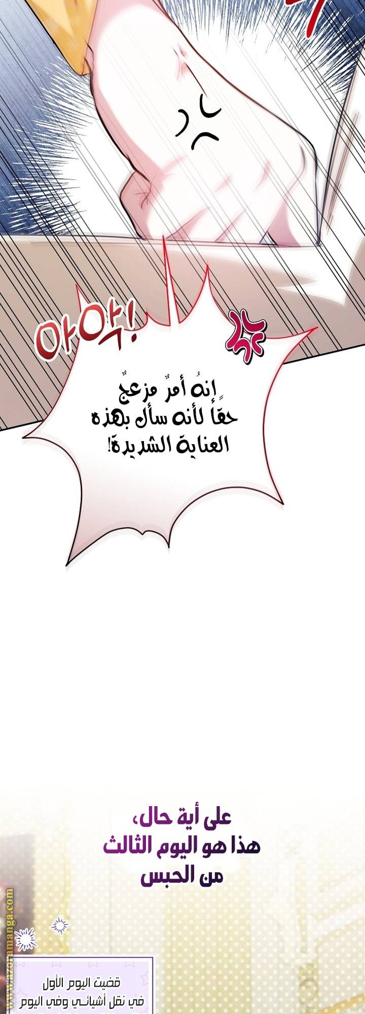 الصفحة 11