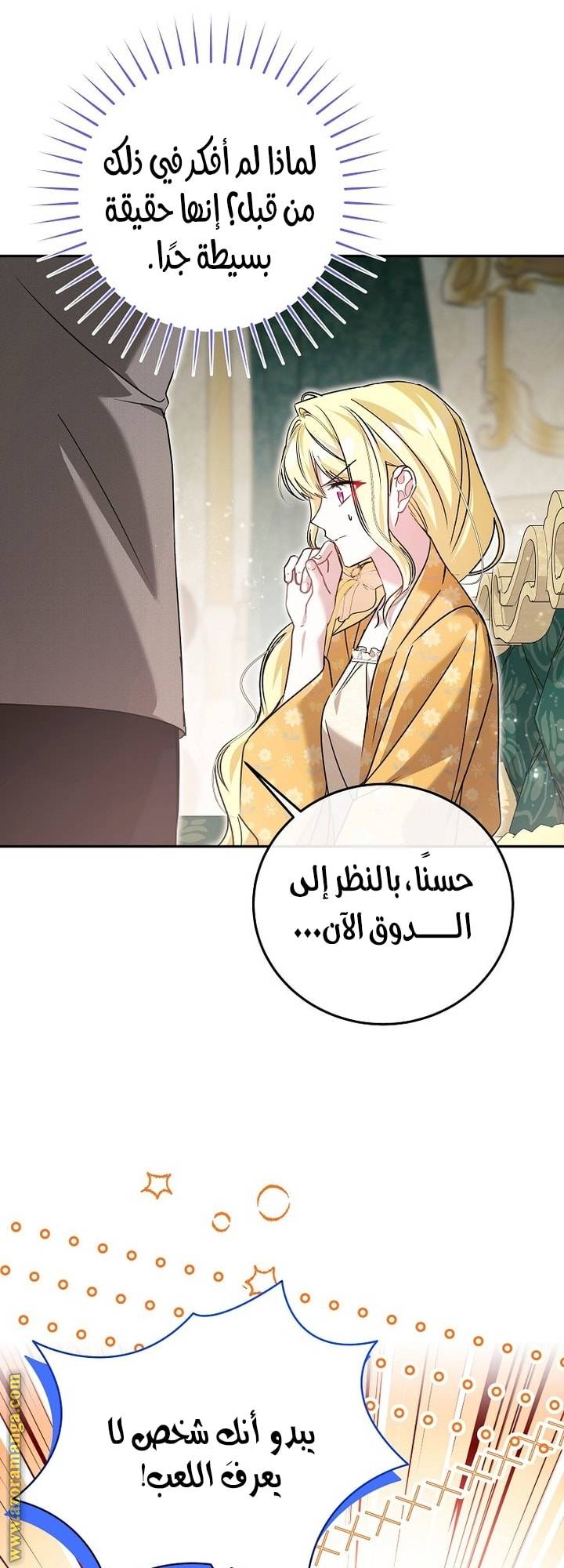 الصفحة 27