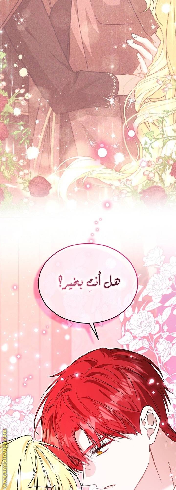 الصفحة 40