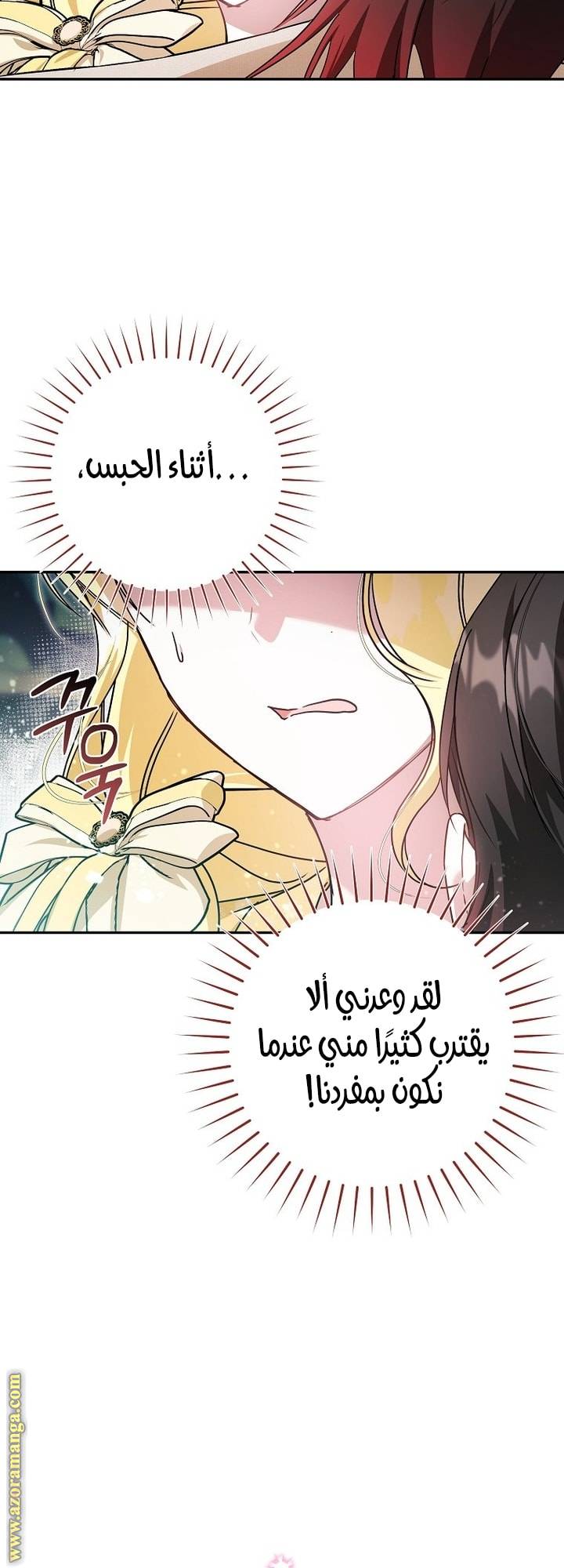 الصفحة 48