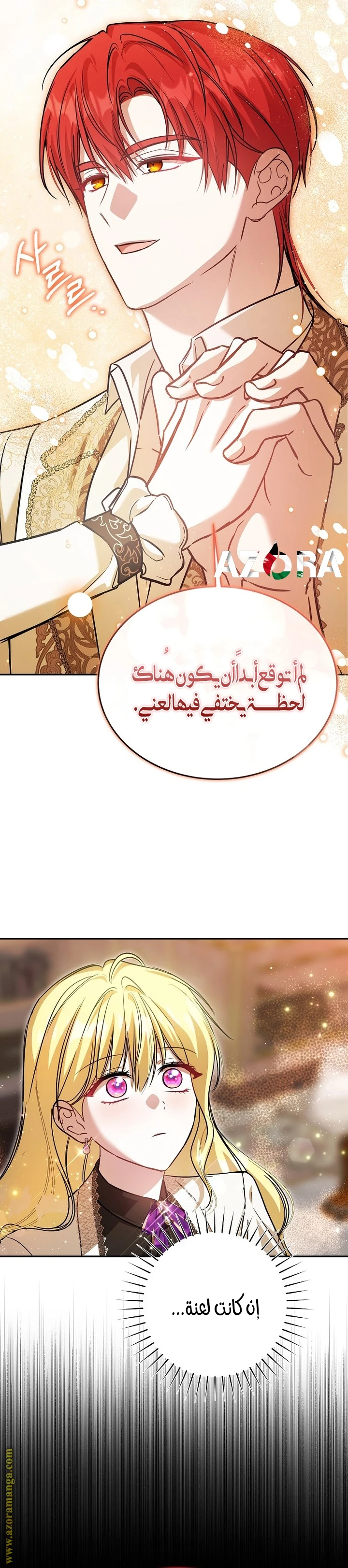 الصفحة 21