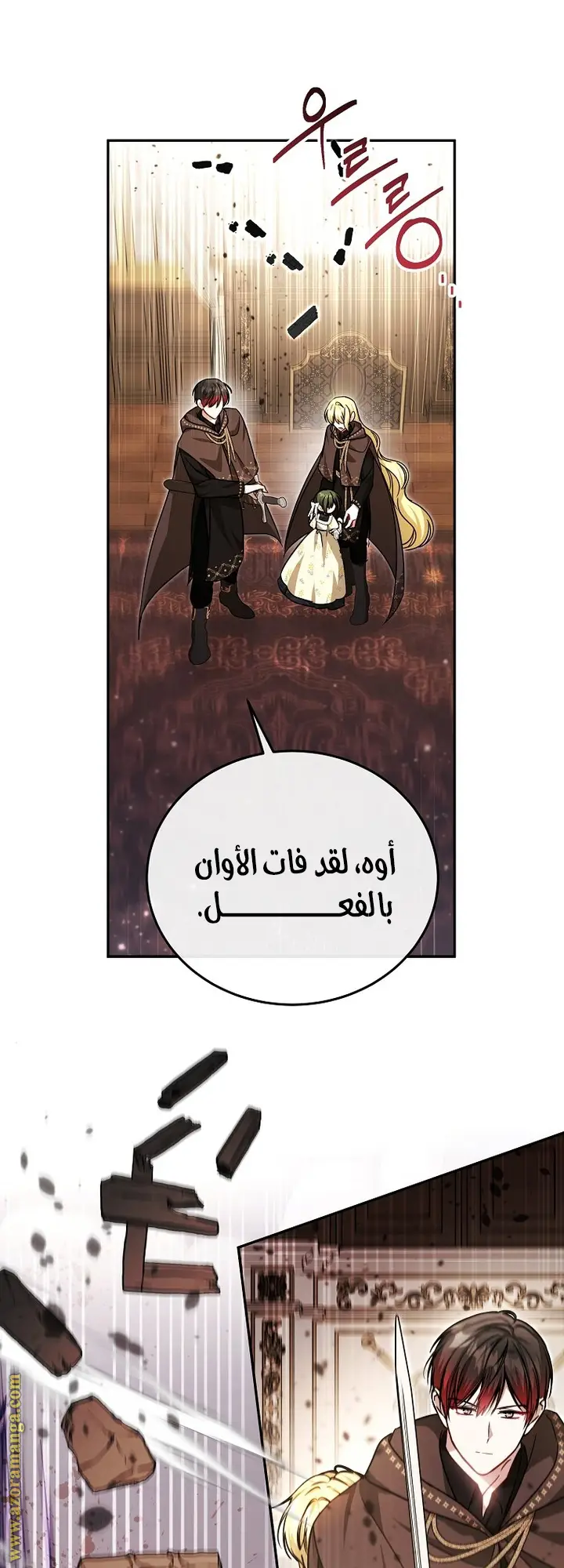 الصفحة 13