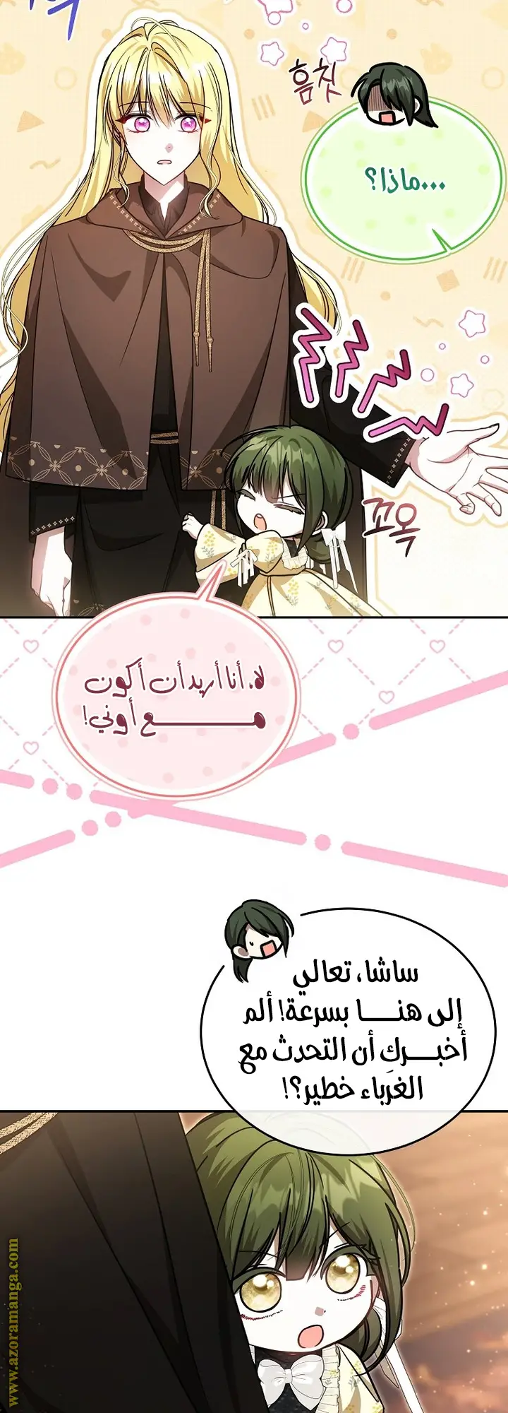 الصفحة 29