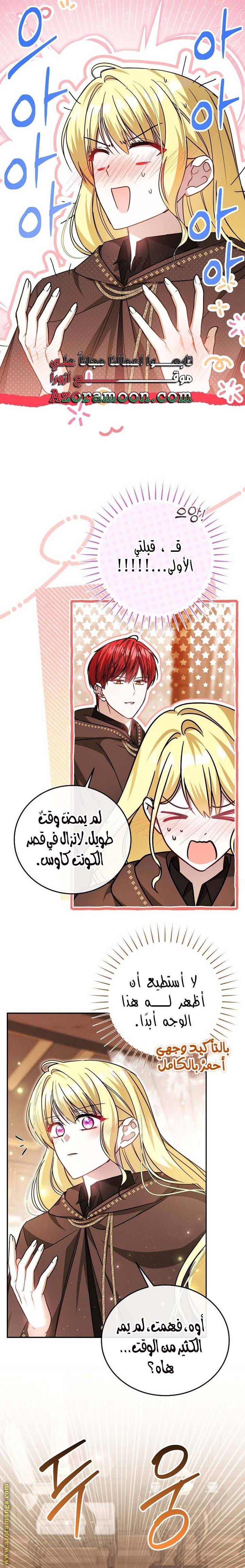 الصفحة 17