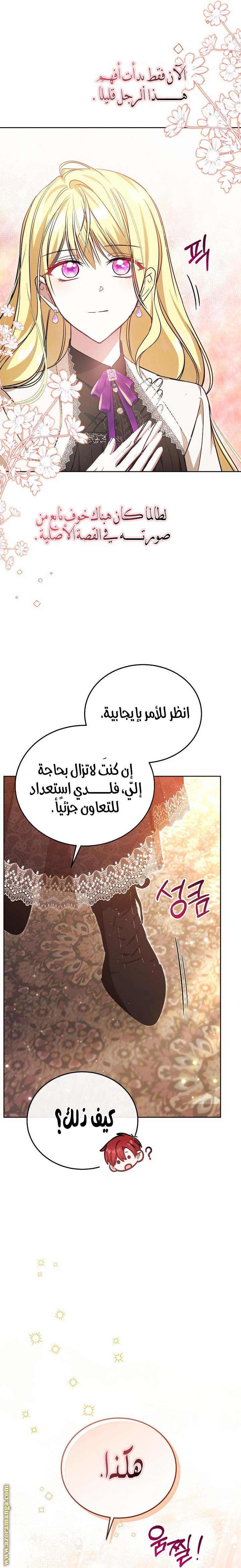 الصفحة 17