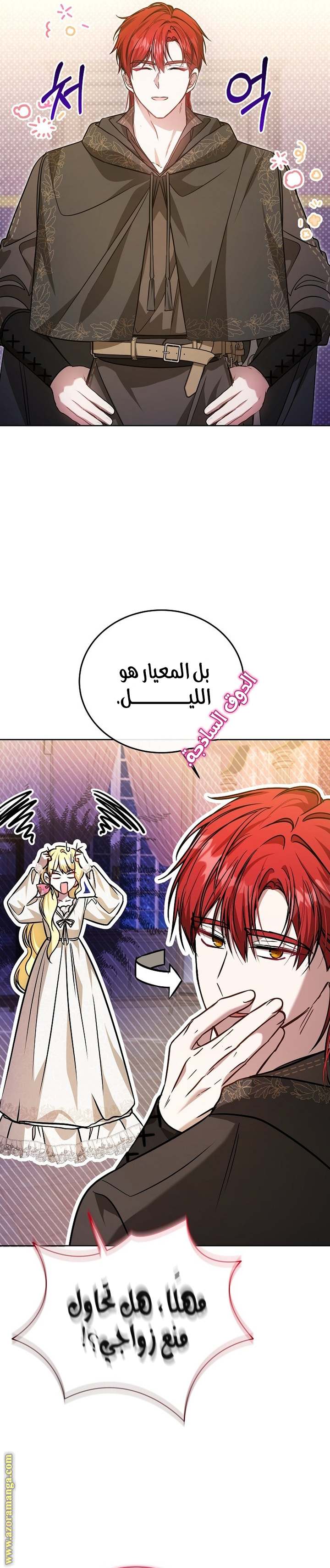 الصفحة 21