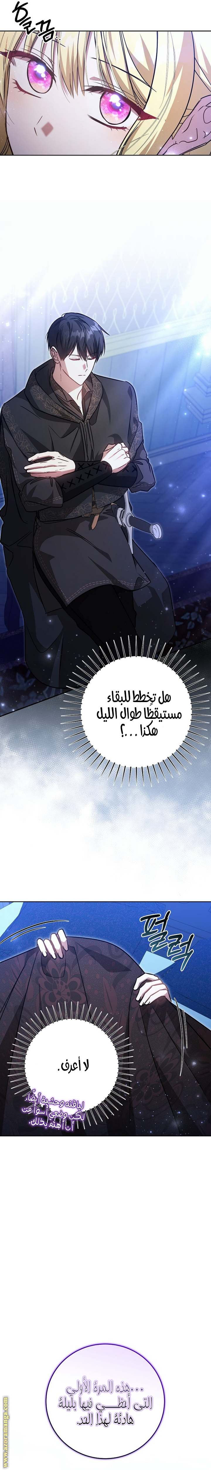 الصفحة 26