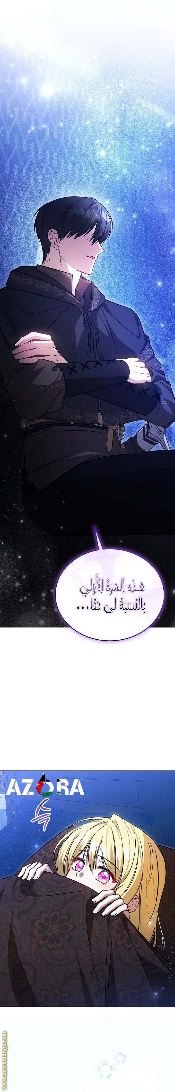 الصفحة 27
