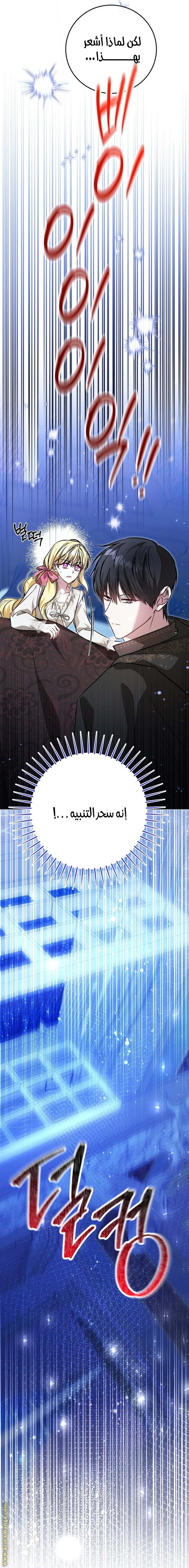 الصفحة 29