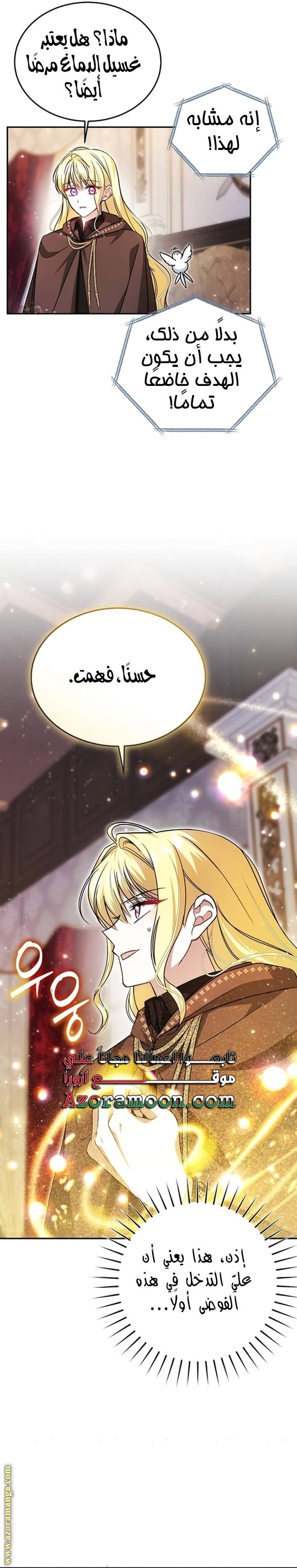 الصفحة 13
