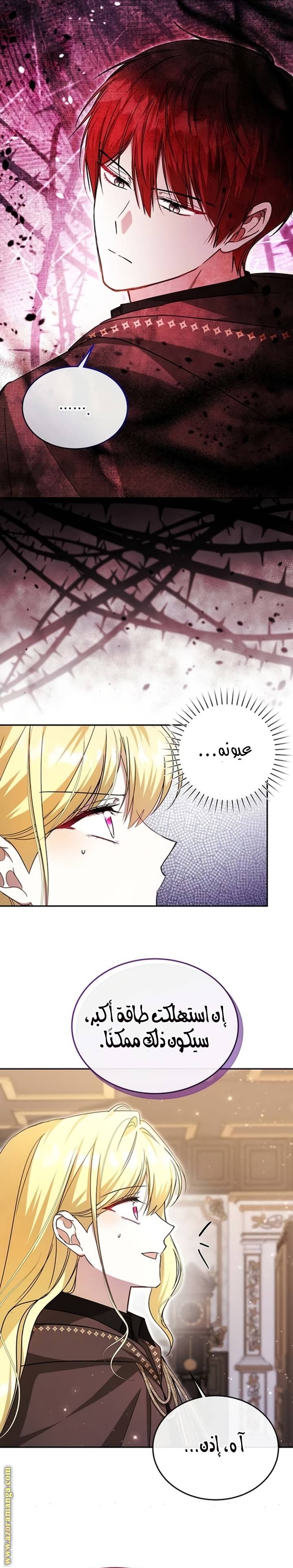 الصفحة 17