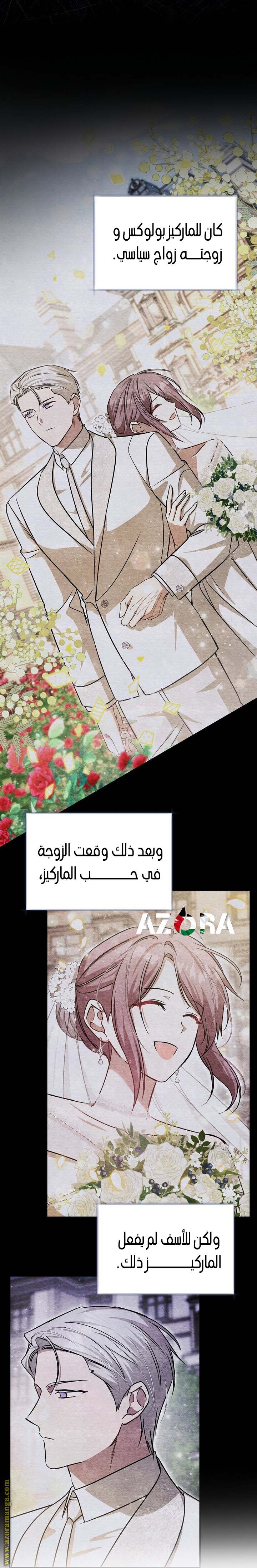 الصفحة 41