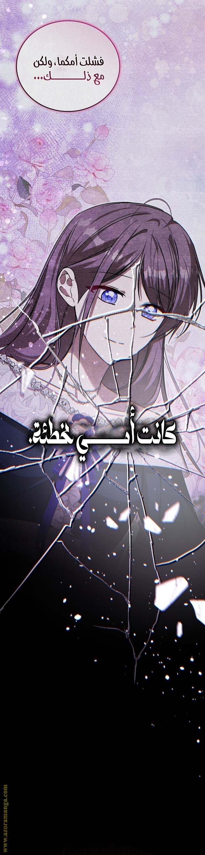 الصفحة 43