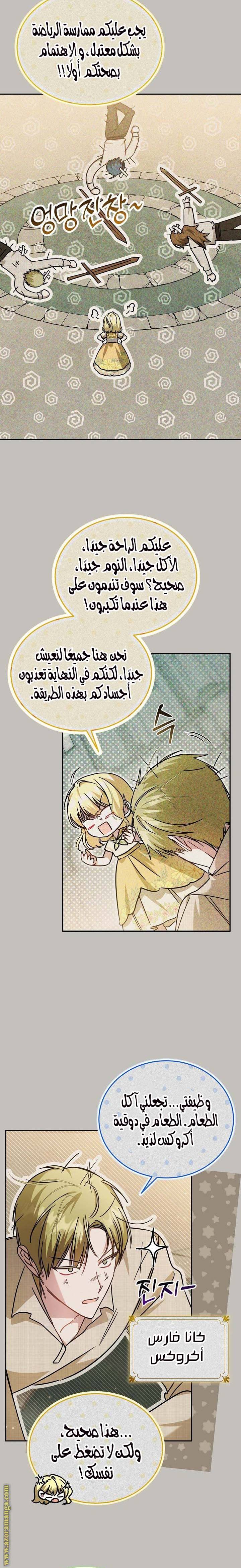 الصفحة 17