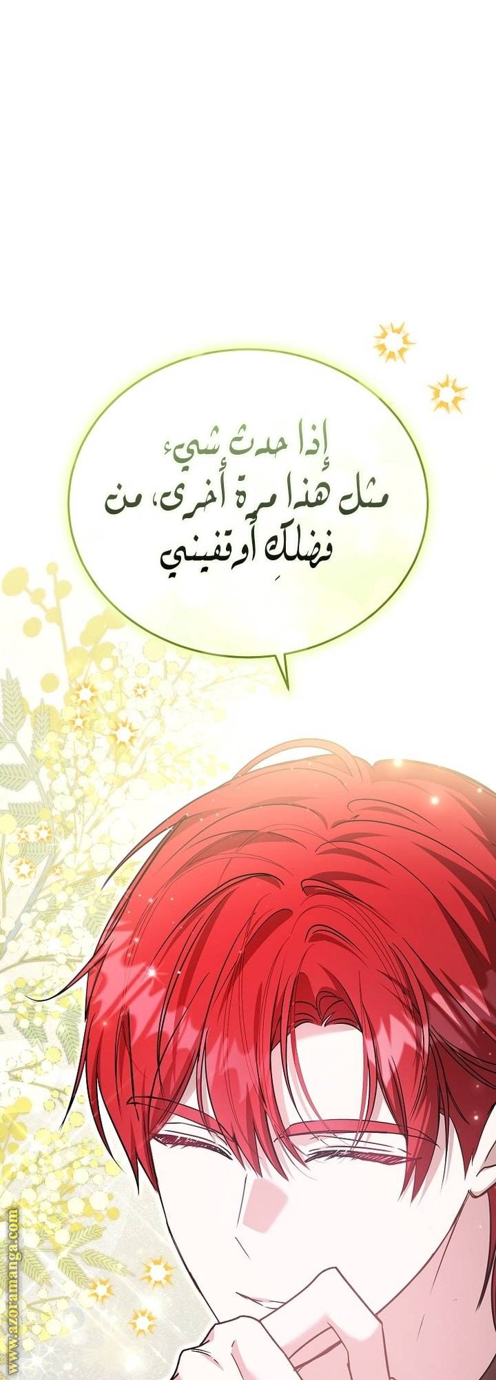 الصفحة 26