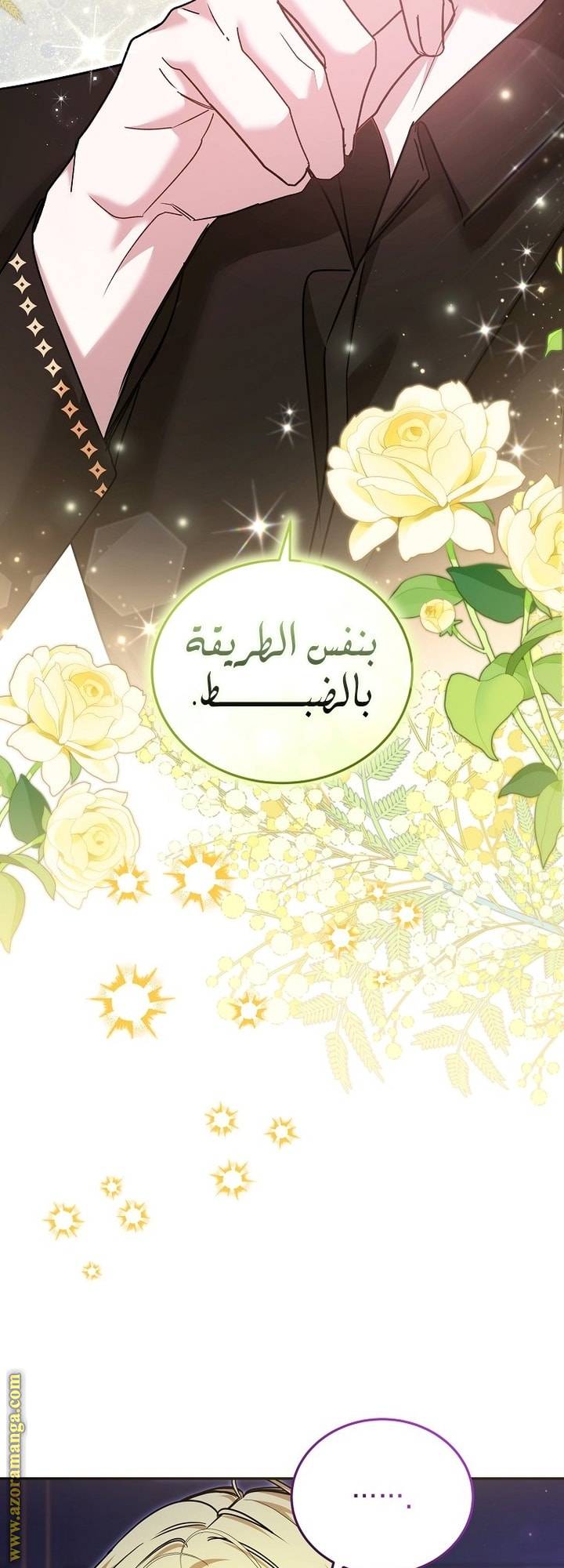 الصفحة 27