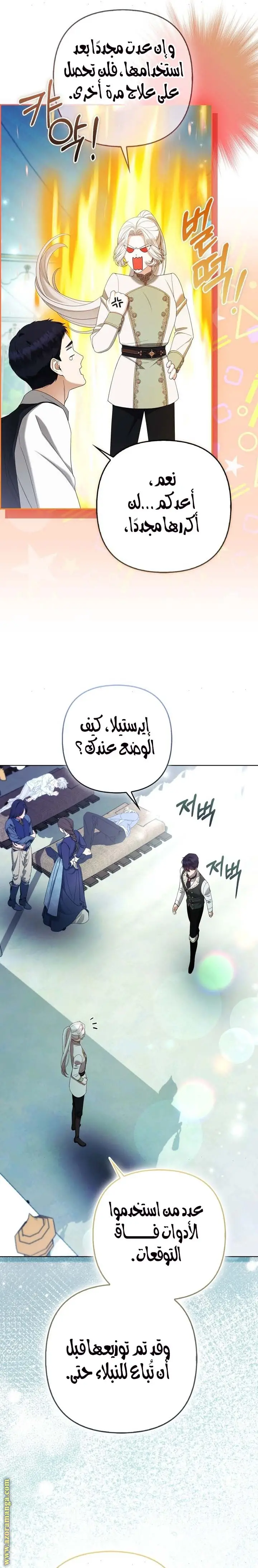 الصفحة 19