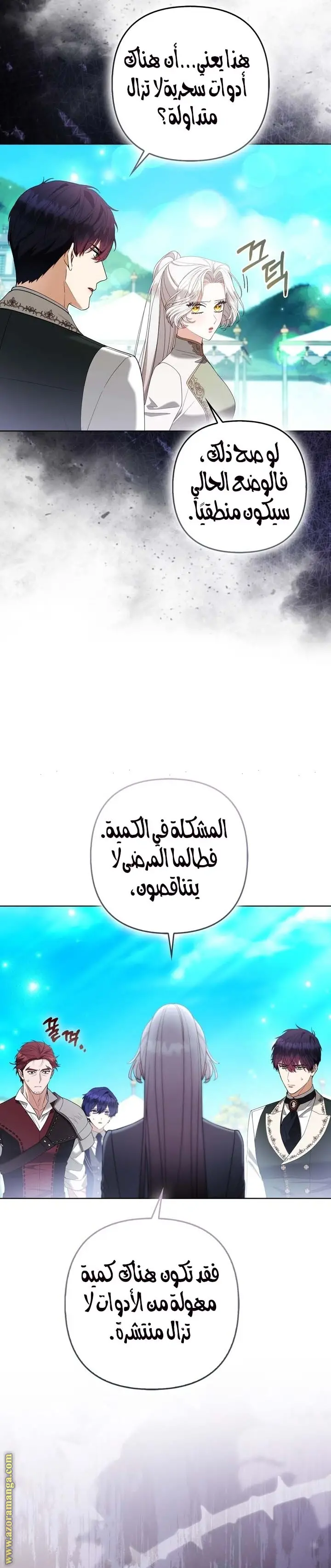 الصفحة 25