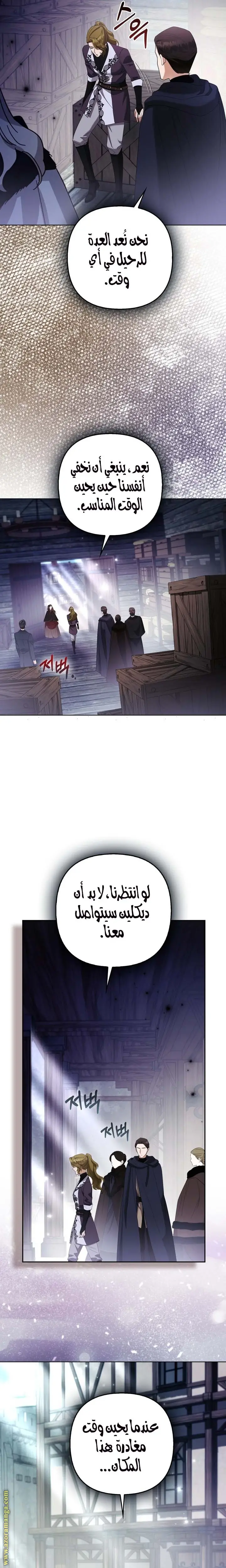 الصفحة 17
