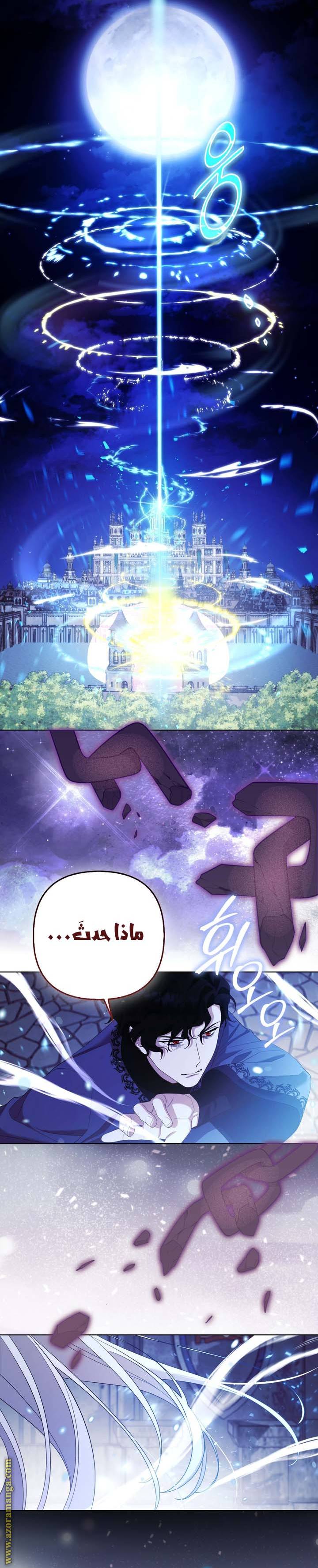 الصفحة 24