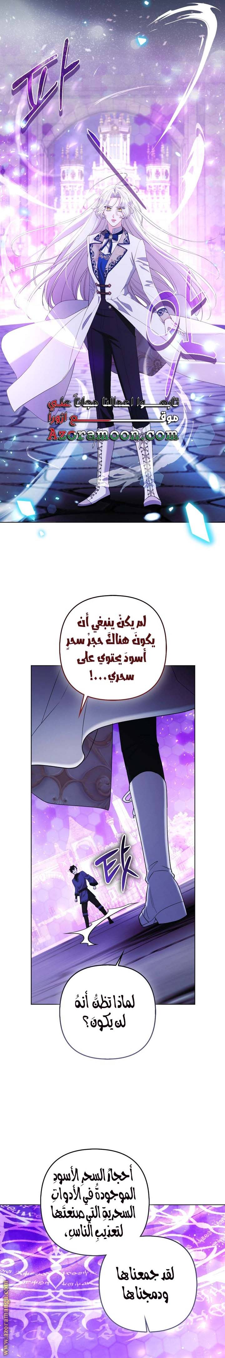 الصفحة 25