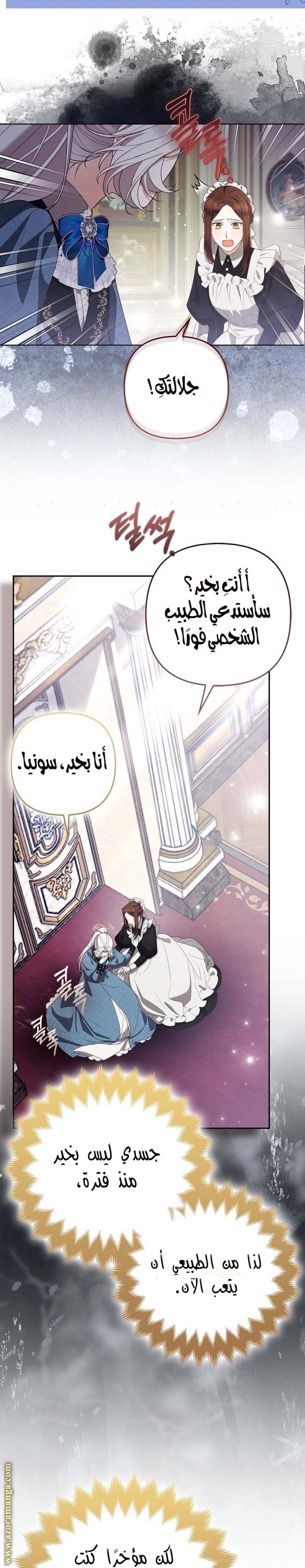 الصفحة 13