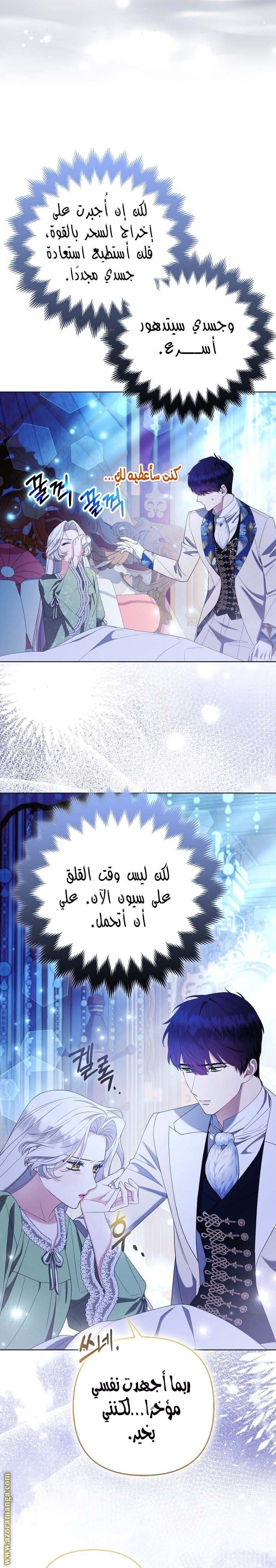 الصفحة 17
