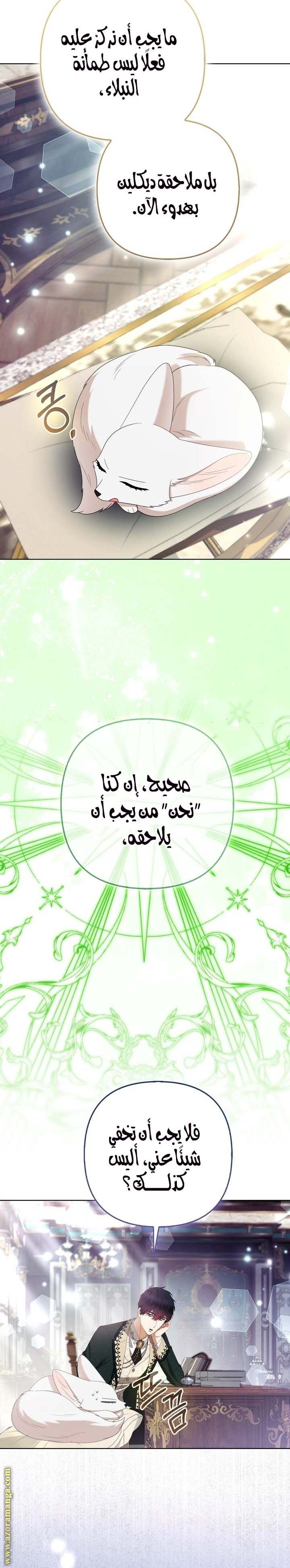 الصفحة 19