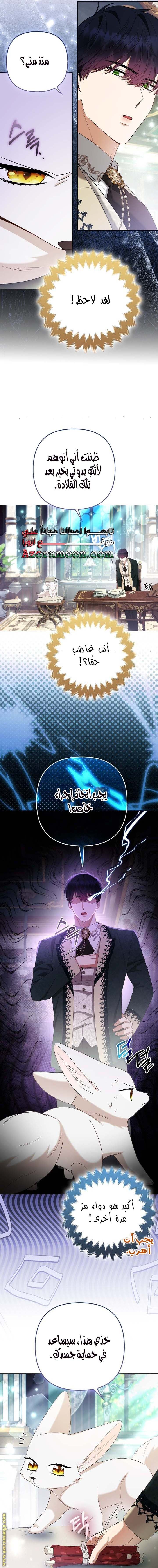 الصفحة 20