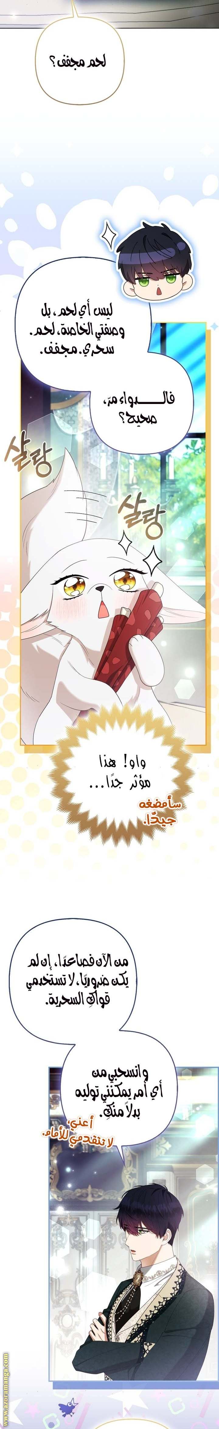 الصفحة 21