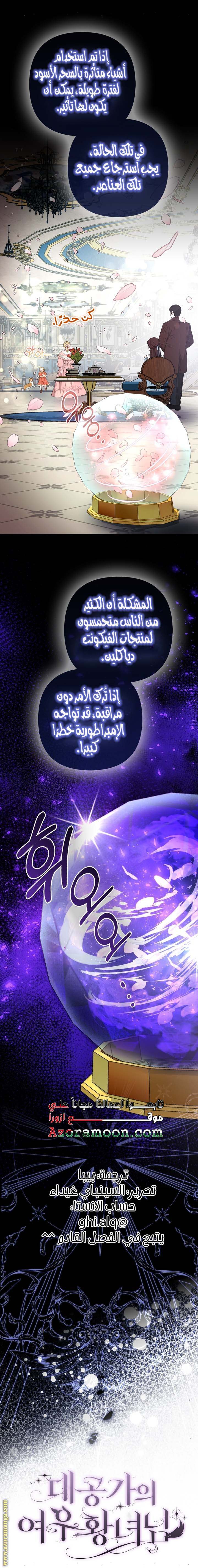 الصفحة 17